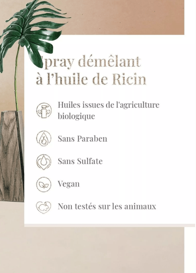 Spray démêlant express sans-rinçage - Ricin