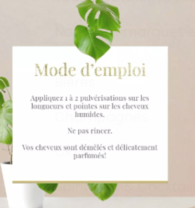 Spray démêlant express sans-rinçage - Ricin